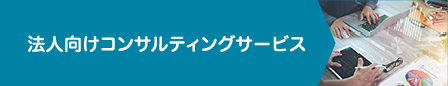 法人向けコンサルティングサービス